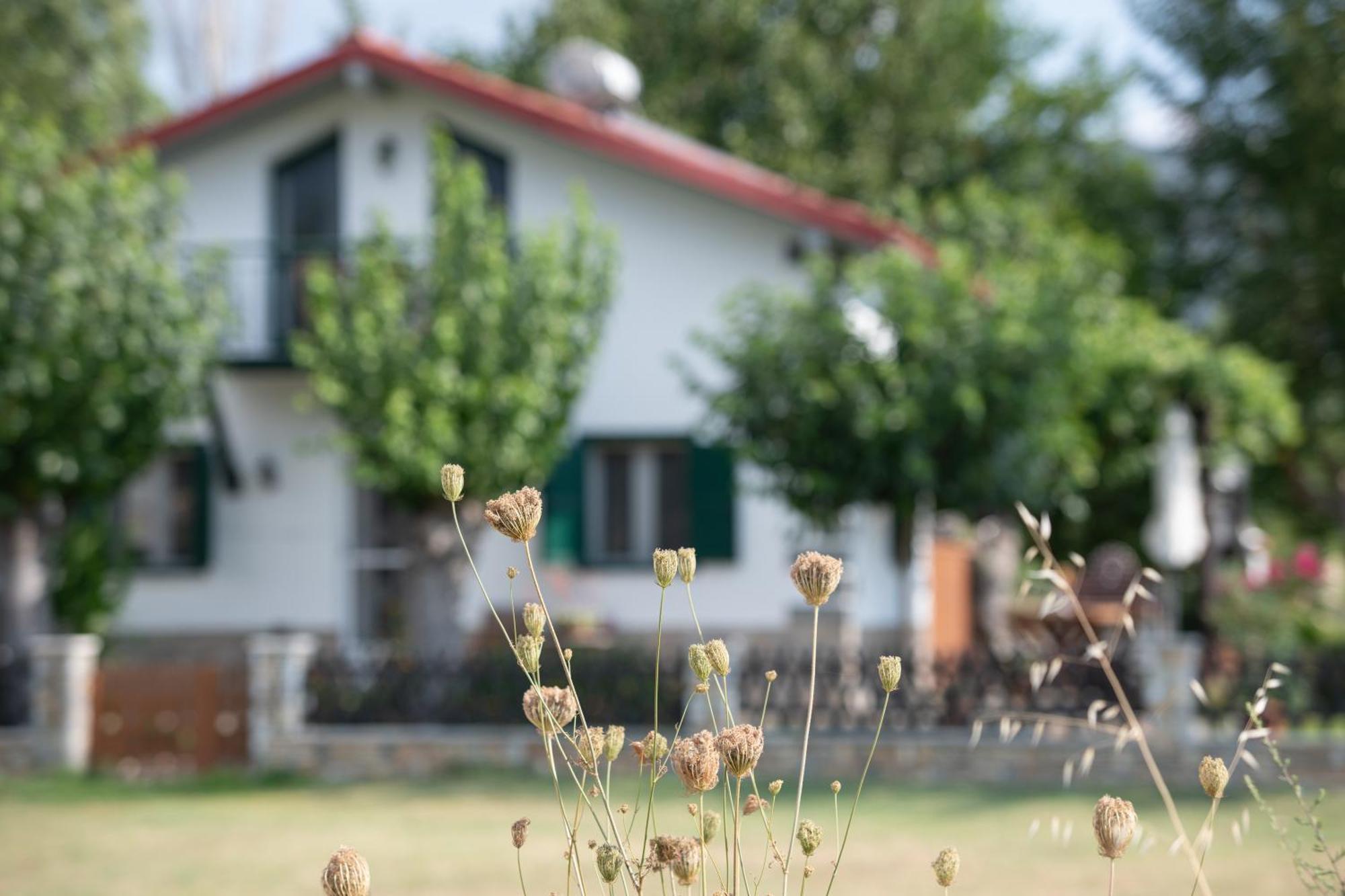 הוילה סיקיה Pratsas House מראה חיצוני תמונה